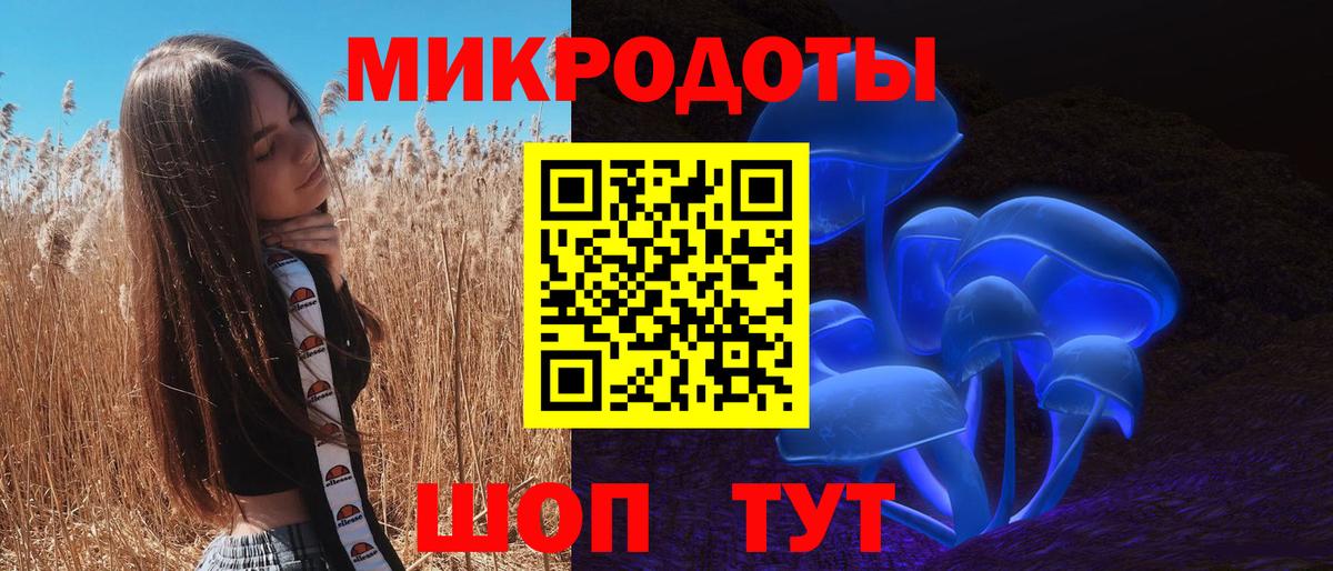 Елизово  Псилоцибиновые грибы мухоморы  Вход с VPN 