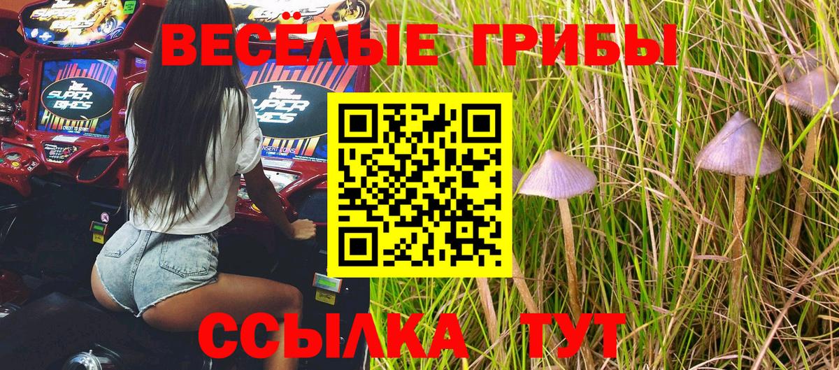 Галлюциногенные грибы Cubensis Елизово